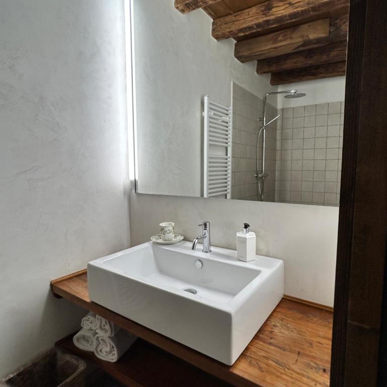 Foresteria Di Villa Tiepolo Passi - Double or Twin Room with Garden View - 7