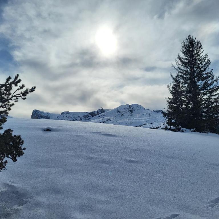 VACANCES à SUPERDEVOLUY hautes Alpes 05250 - Appartement - 48