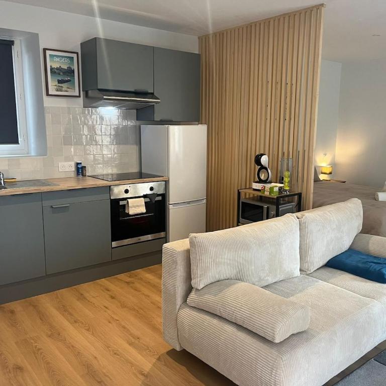 Cocon Design - Centre Angers - Appartement 1 Chambre - 1