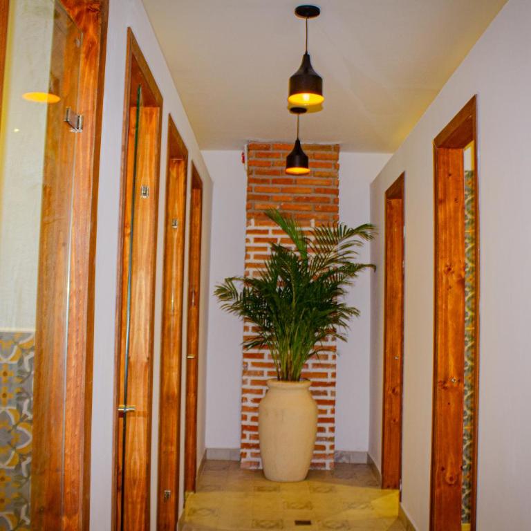 Masaya Cartagena - Bed in 6-Bed Dormitory Room - 1
