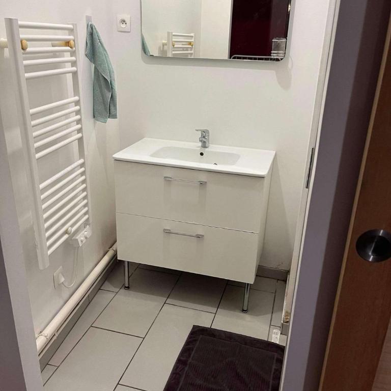 Tiny House avec jardin au cœur de Bourges - Appartement 1 Chambre - 6