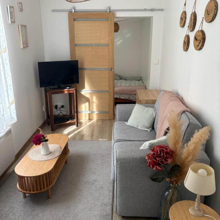 Tiny House avec jardin au cœur de Bourges - Appartement 1 Chambre - 1