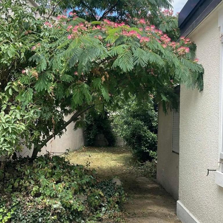 Tiny House avec jardin au cœur de Bourges - Appartement 1 Chambre - 3