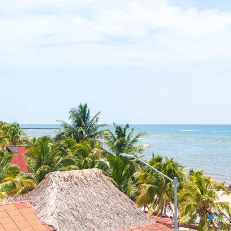 Beachfront 2BR Condo in Playa I Steps to 5th Ave! - 2BR Beachfront Oceanview Terrace - 17