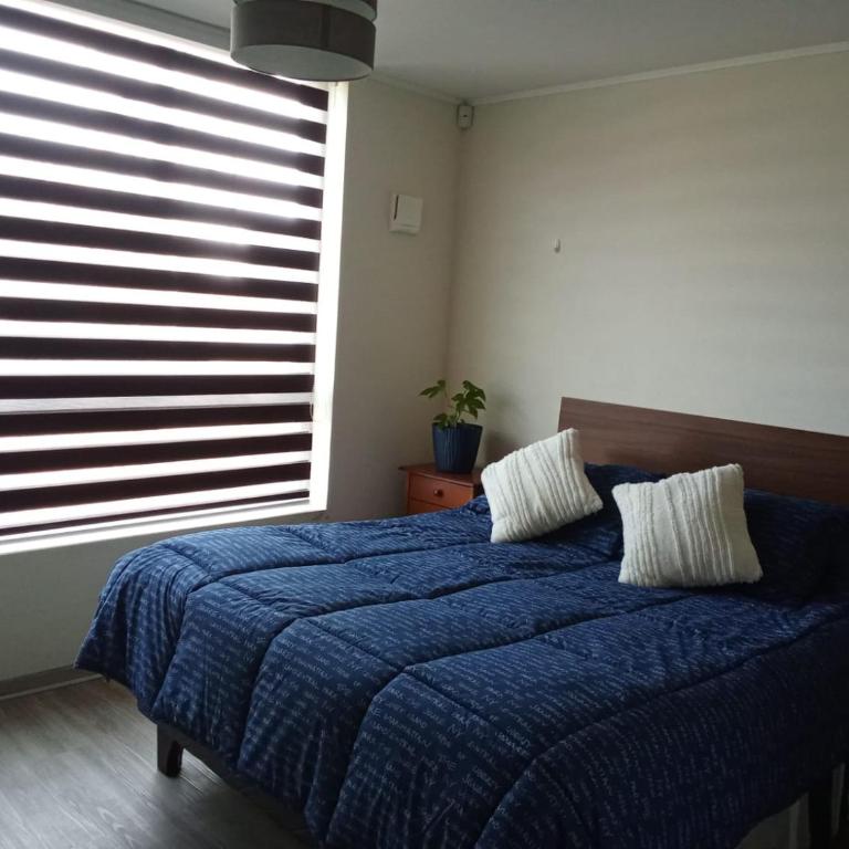 Departamento centrico en chillan - Apartamento de 1 dormitorio - 1