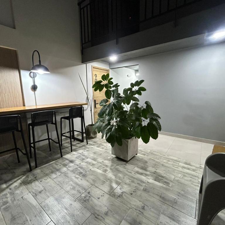 Apartamento tipo Loft en el sur de cali, con aire acondicionado - Apartamento de 1 dormitorio - 46