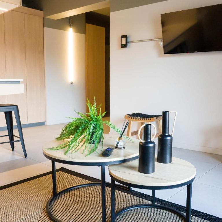 Charming 1BE 1BA Retreat in Providencia - Apartamento - 8
