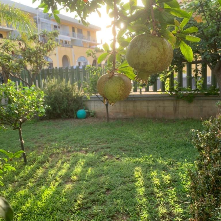 Villa Rosanna - Villa con 2 Camere da Letto - 9