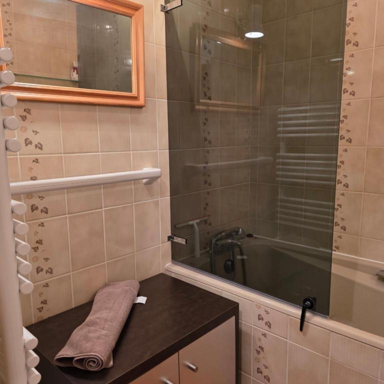 Le Serac Panoramic Mountain View spacious 40m2 managed by private host - Appartement 1 Chambre - 27