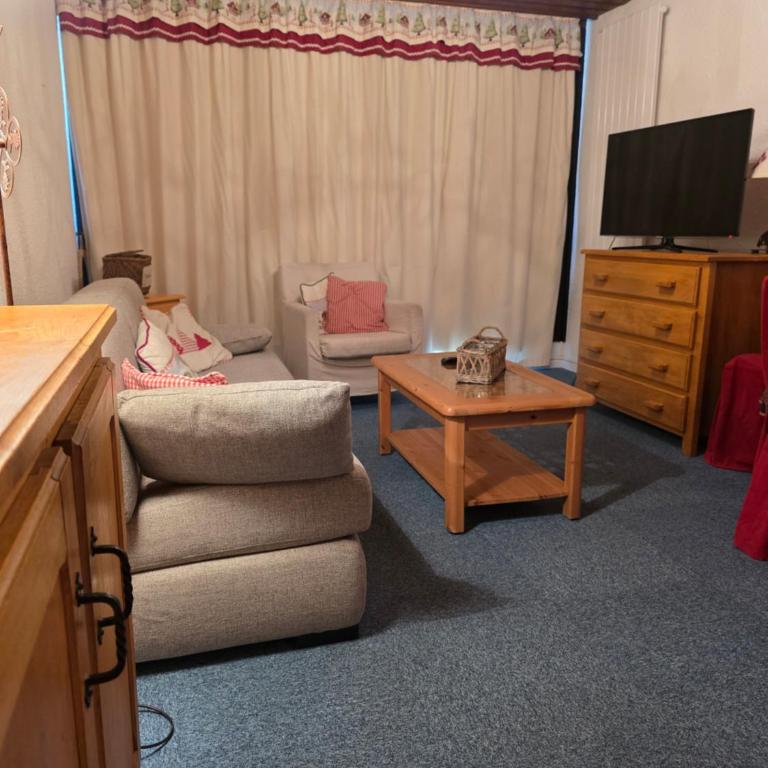 Le Serac Panoramic Mountain View spacious 40m2 managed by private host - Appartement 1 Chambre - 19