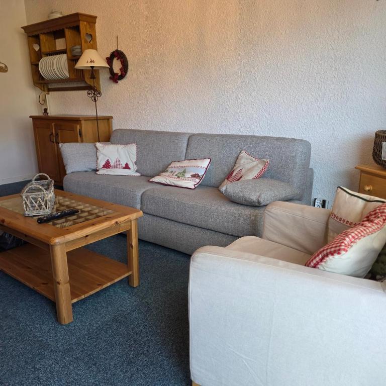 Le Serac Panoramic Mountain View spacious 40m2 managed by private host - Appartement 1 Chambre - 13