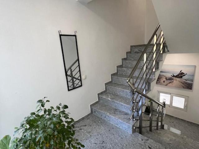 Apartmani PERICIC SUTOMORE NEW HOUSE - Comfort Quadruple Room - 2