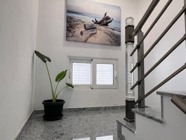 Apartmani PERICIC SUTOMORE NEW HOUSE - Comfort Quadruple Room - 1
