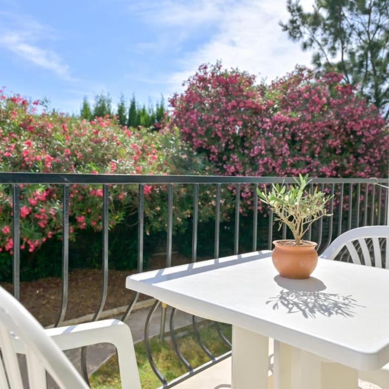 MOTEL ASCOT - Hotel & Appartements - Apartamento con vistas al jardín - 12