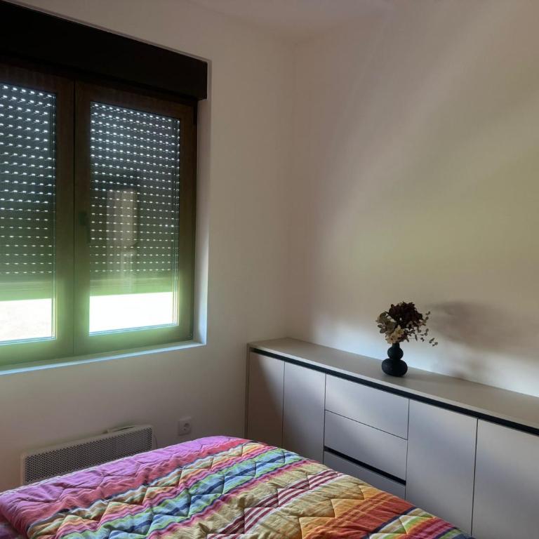 Zlatiborski Dream - Apartman sa 1 Spavaćom Sobom - 5