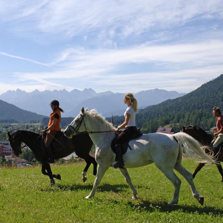 Seefeld Alpine Hideaway - Apartment mit 1 Schlafzimmer - 25