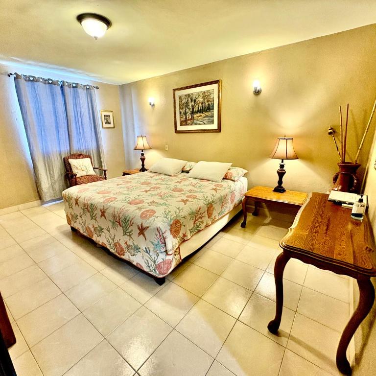 Hospedaje Mulege - King Room - 3