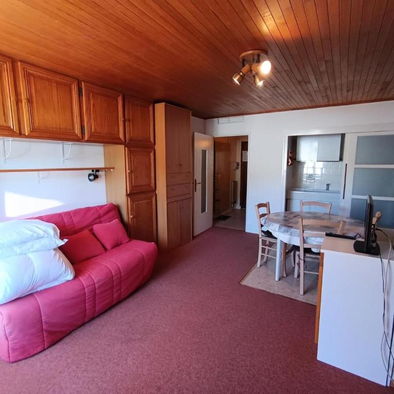 Résidence Alpet Ii - Grand studio pour 2/4 personnes MAE-9104 - Estudio - 1