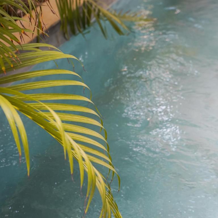 Otonomus Tulum - Apartamento - Planta baja - 15