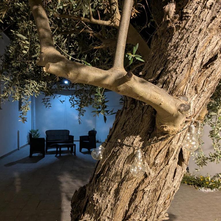 Casa Pagani - Appartamento con 2 Camere da Letto - 6