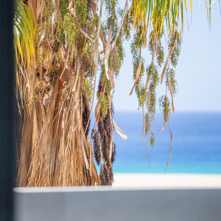 Jandia Sunrise, Your Sweet Holiday Home - Apartamento de 1 dormitorio - 37