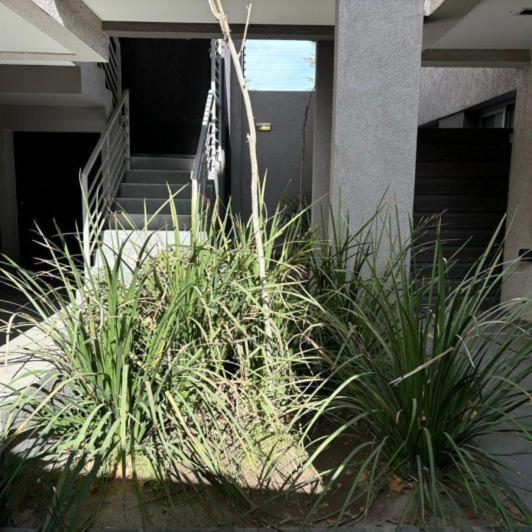 luxurious Deptos San Martín 5916 Luján de Cuyo Mendoza - Apartamento de 1 dormitorio - 13