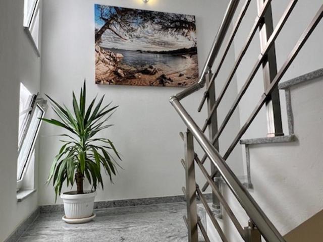 Apartmani PERICIC SUTOMORE NEW HOUSE - Superior Studio - 12