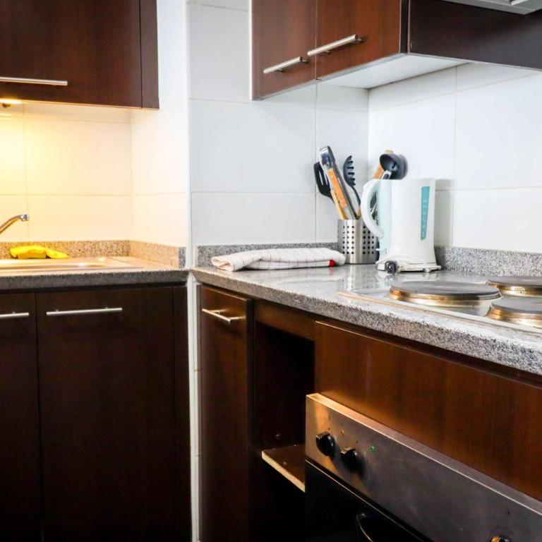 HOM I Valle Nevado SKI IN y OUT FrenteALaCordillera - Apartment - 25