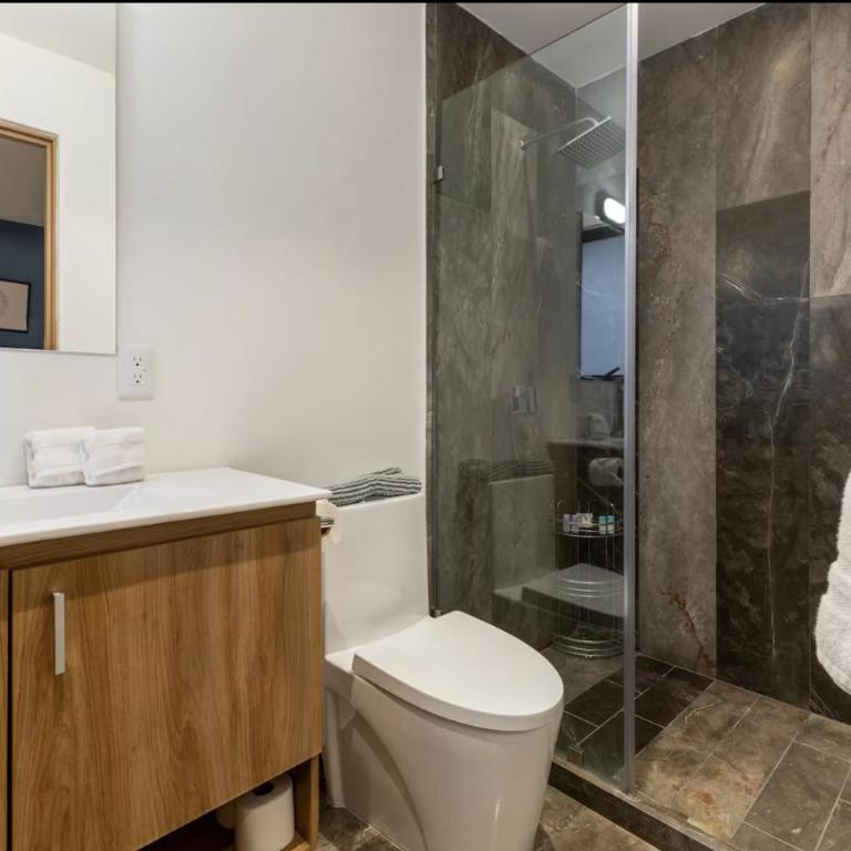 Apartamento de Lujo 3 Recamaras en Roma Norte CDMX - Apartamento de 3 dormitorios - 18