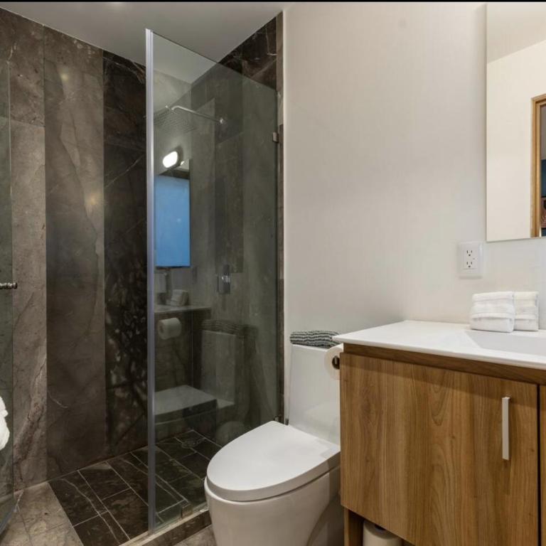Apartamento de Lujo 3 Recamaras en Roma Norte CDMX - Apartamento de 3 dormitorios - 40