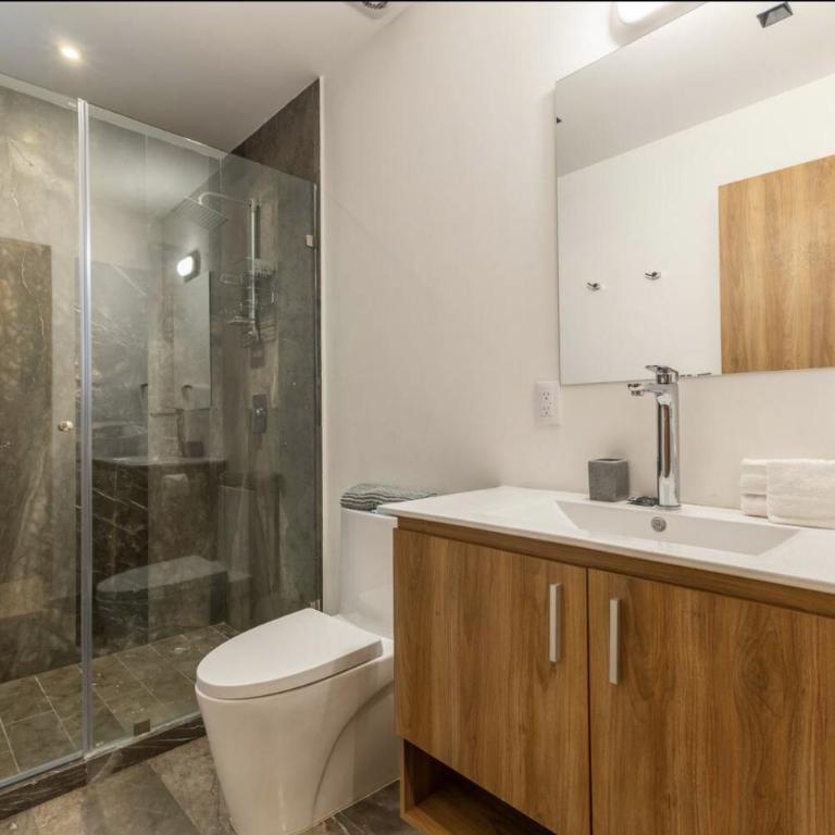 Apartamento de Lujo 3 Recamaras en Roma Norte CDMX - Apartamento de 3 dormitorios - 69