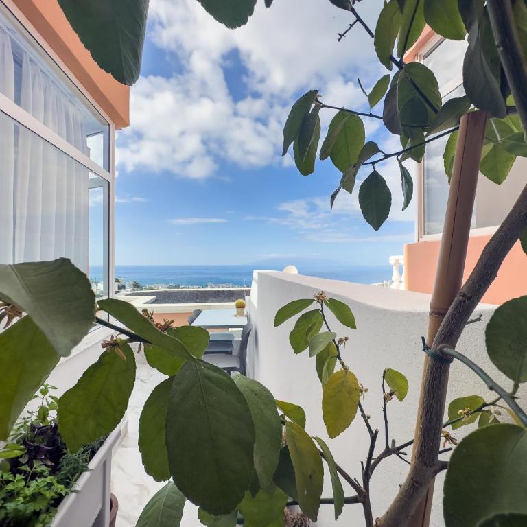 Atlantic Saphire Villa - Villa de 2 dormitorios - 23