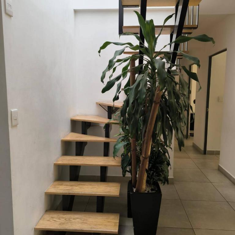 Cómodo departamento en el centro - Apartamento de 3 dormitorios - 19