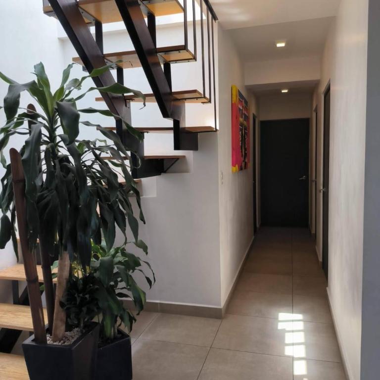Cómodo departamento en el centro - Apartamento de 3 dormitorios - 43