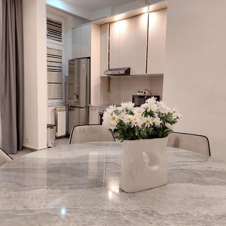The Grand Central Apartment - Apartman sa 3 Spavaće Sobe - 16