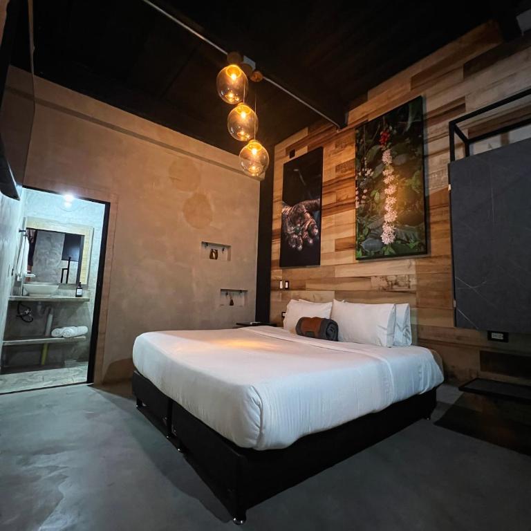 Lleras Luxury - King Bed & Private Jacuzzi - Suite Deluxe con bañera de hidromasaje - 33