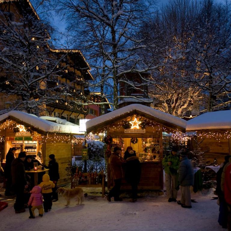 Seefeld Alpine Hideaway - Apartment mit 1 Schlafzimmer - 22
