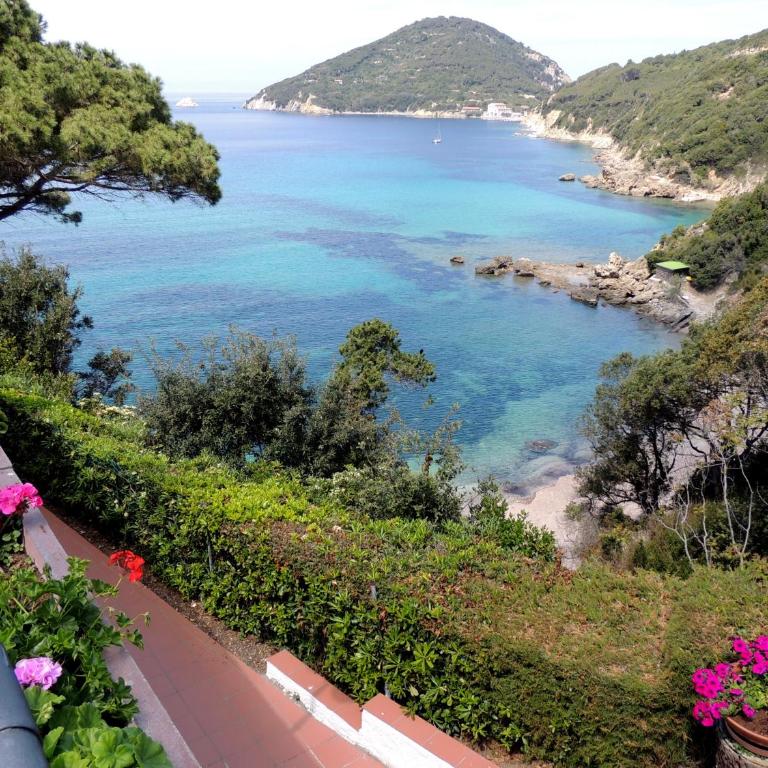 Hotel Viticcio - Camera Classic Matrimoniale/Doppia con Letti Singoli con Vista Mare - 6