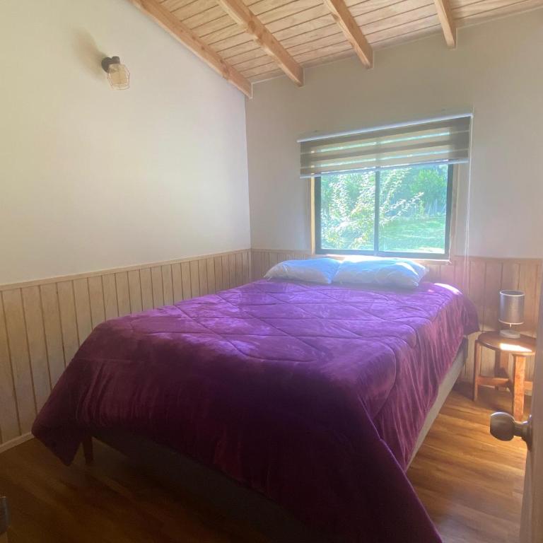 Casa Tepú - Three-Bedroom House - 11