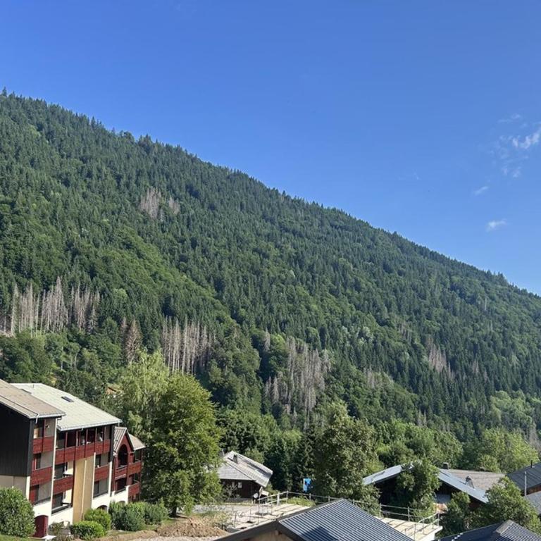 Appartement spacieux au centre, près télécabine, terrasse - Appartement 1 Chambre - 11