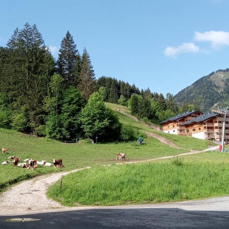 Appartement spacieux au centre, près télécabine, terrasse - Appartement 1 Chambre - 20
