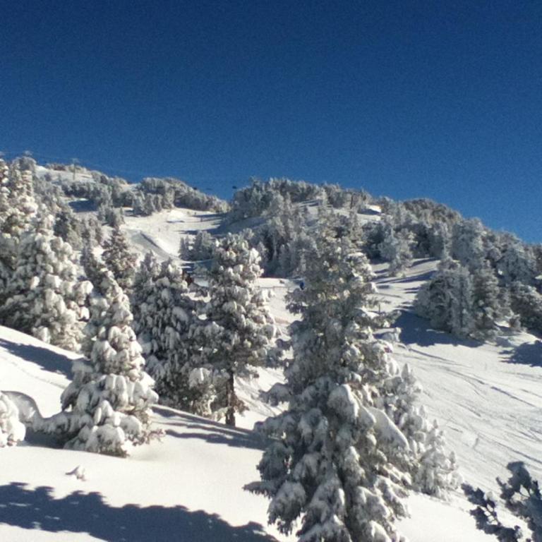 Studio agréable au pied des pistes avec balcon et animaux acceptés - FR-1-549-149 - Studio - 14