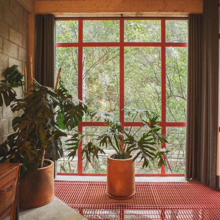 Xolo Condesa - Apartamento Superior con balcón - 12
