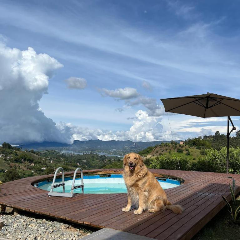 Villa Amore - Villa - 14