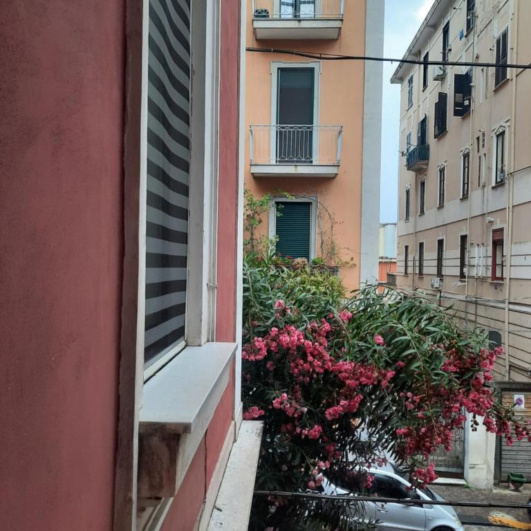 Domus Velia - Appartamento con 2 Camere da Letto - 53