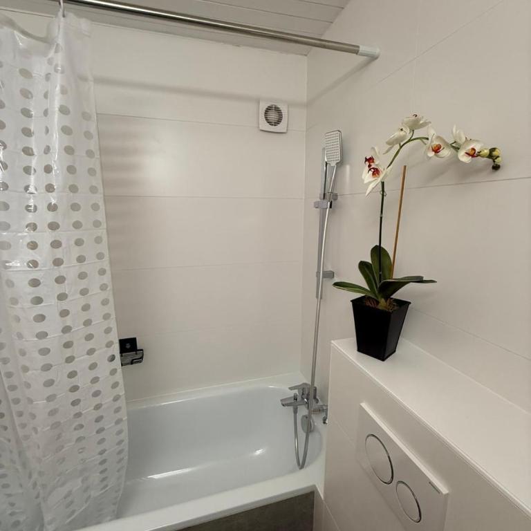 Le Point du jour - Deluxe Apartment mit 1 Schlafzimmer - 6