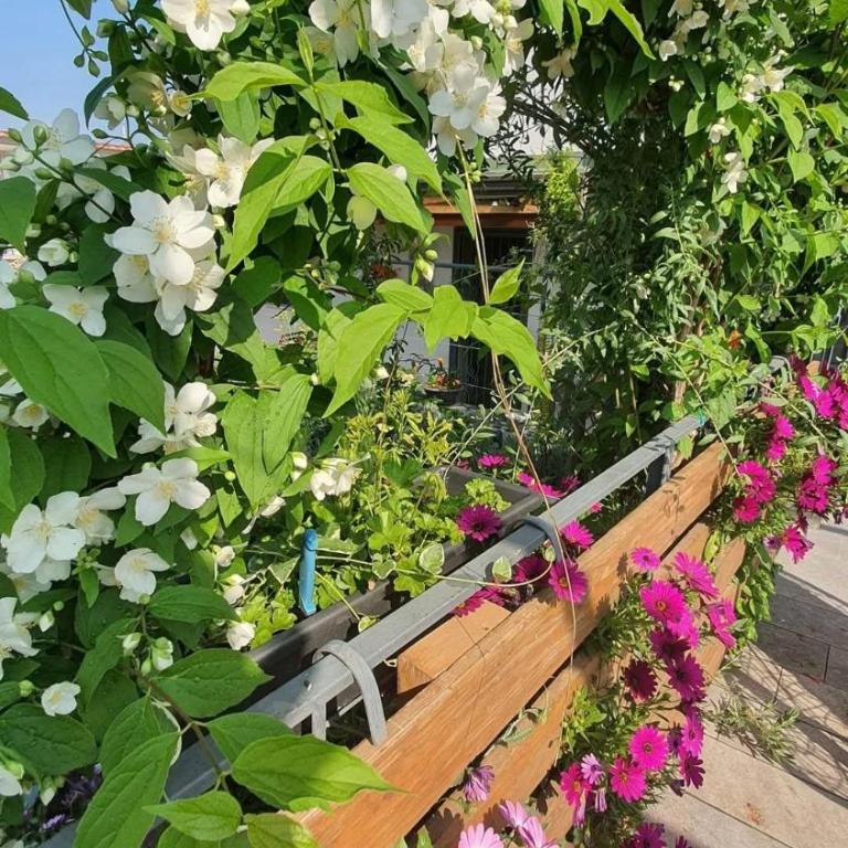 E s s e n t i a l Pompei - Apartment - 54