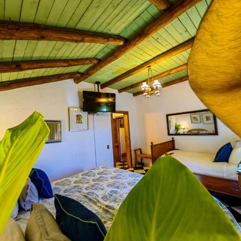 Boutique Hotel Parador Vendimia - Habitación Familiar con vistas al jardín - 1