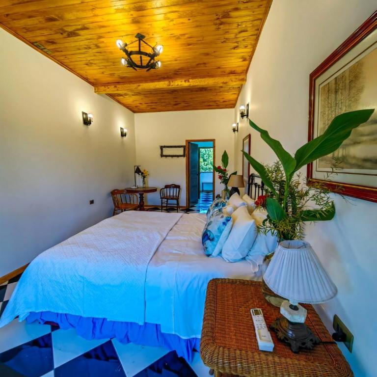 Boutique Hotel Parador Vendimia - Habitación Doble Deluxe - 8