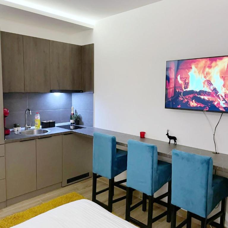 Andromeda Apartment Residence Hill Kopaonik - One-Bedroom Apartment - 56